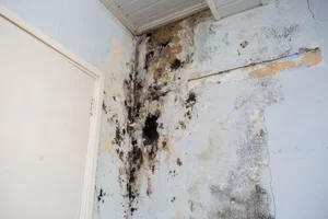 What Types of Home Damage Should You Fix Before Listing? | The Home Owners Listing Team