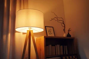 Finding the Right Lighting for Each Room in the House