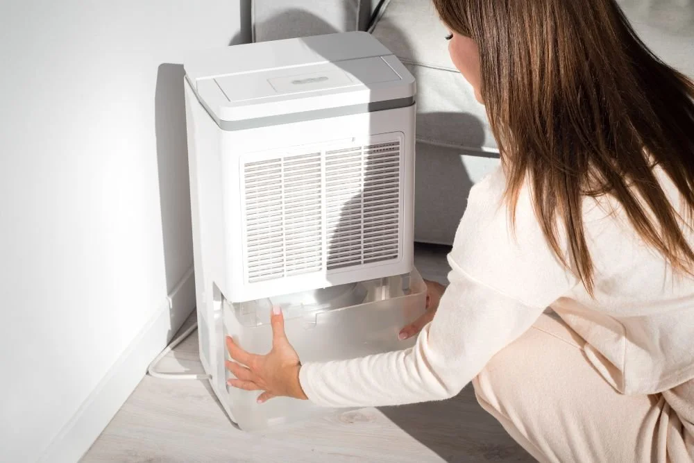 5 Tips for Eliminating Musty Odors in Your Home