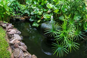 How a Backyard Pond Can Increase the Value of Your Home