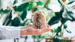 Short-Term vs. Long-Term Investment Potential in Newport Hills, Bellevue Washington