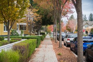 Why Walkability Still Matters to Newport Hills Buyers in Washington State