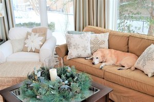 What Buyers Love About Living in Lake Hills Bellevue Washington