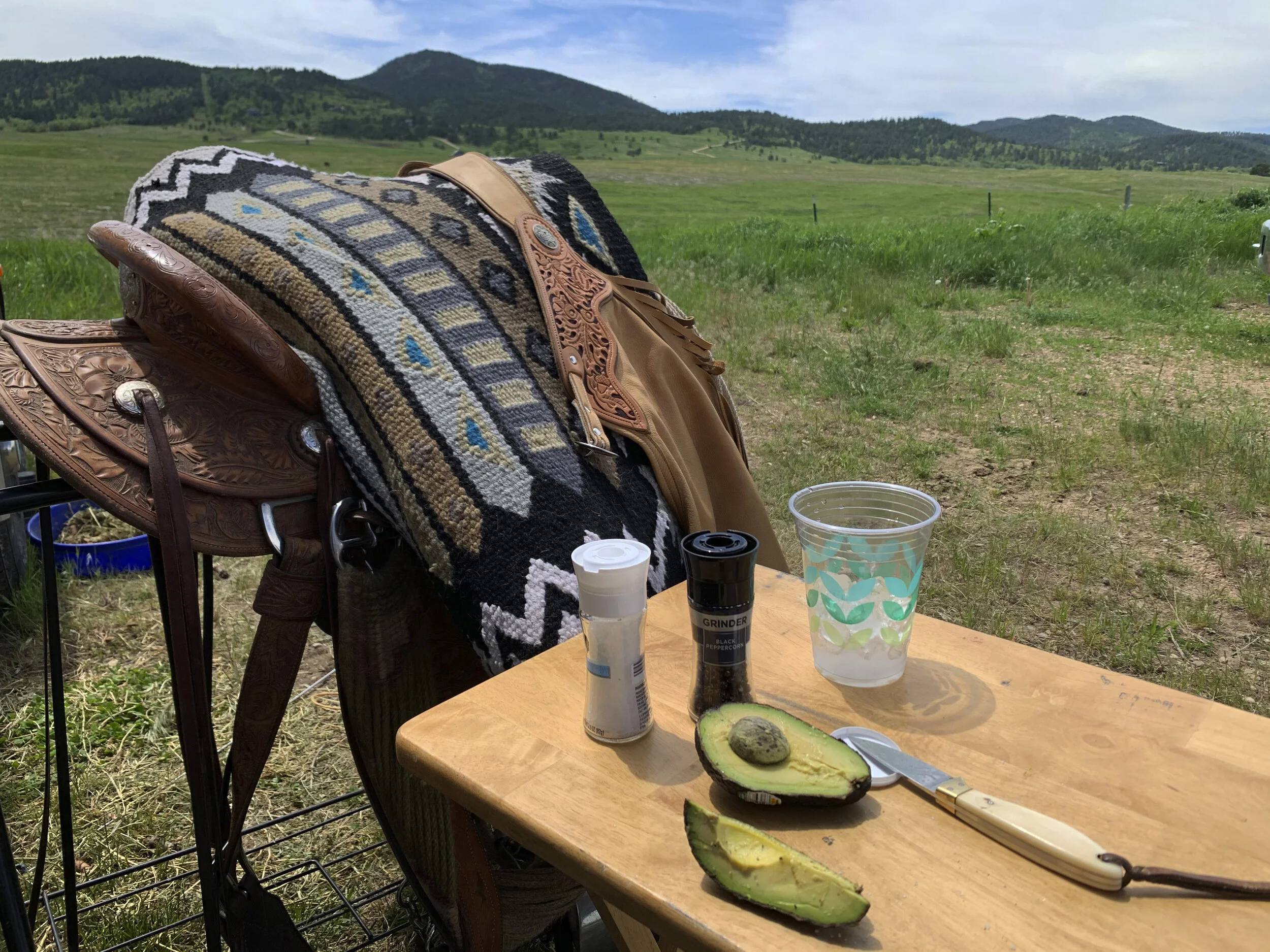 Ranch & Arena Saddle Blankets — Yonder Horse