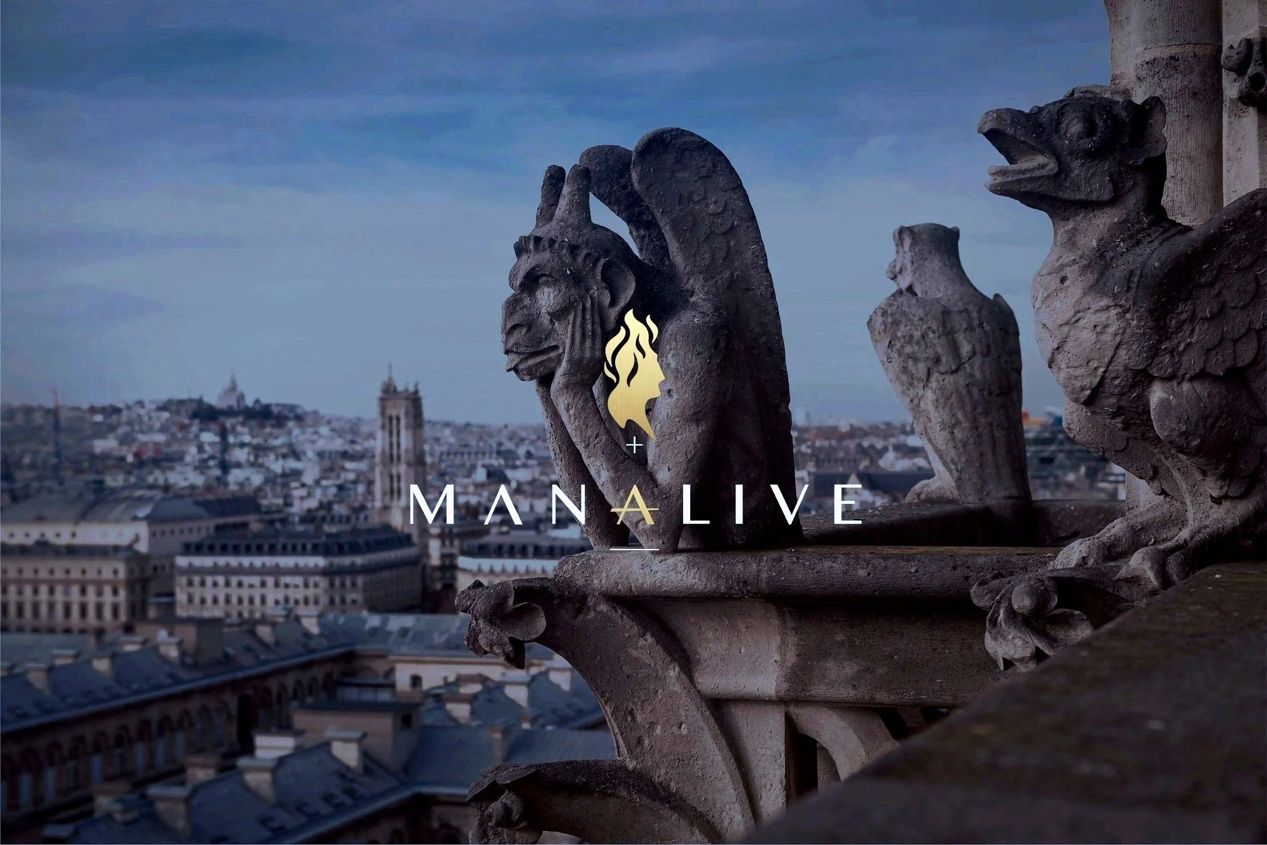 Notre Dame Façade Le Stryge