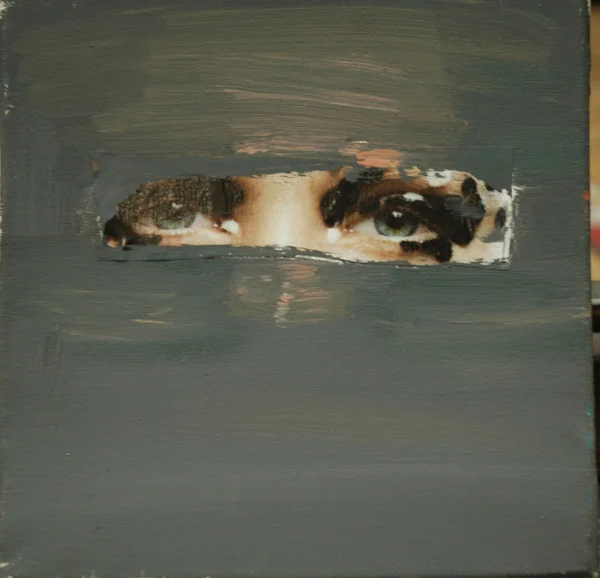 Eyes / olej płótno / 50x50cm / 2011r.