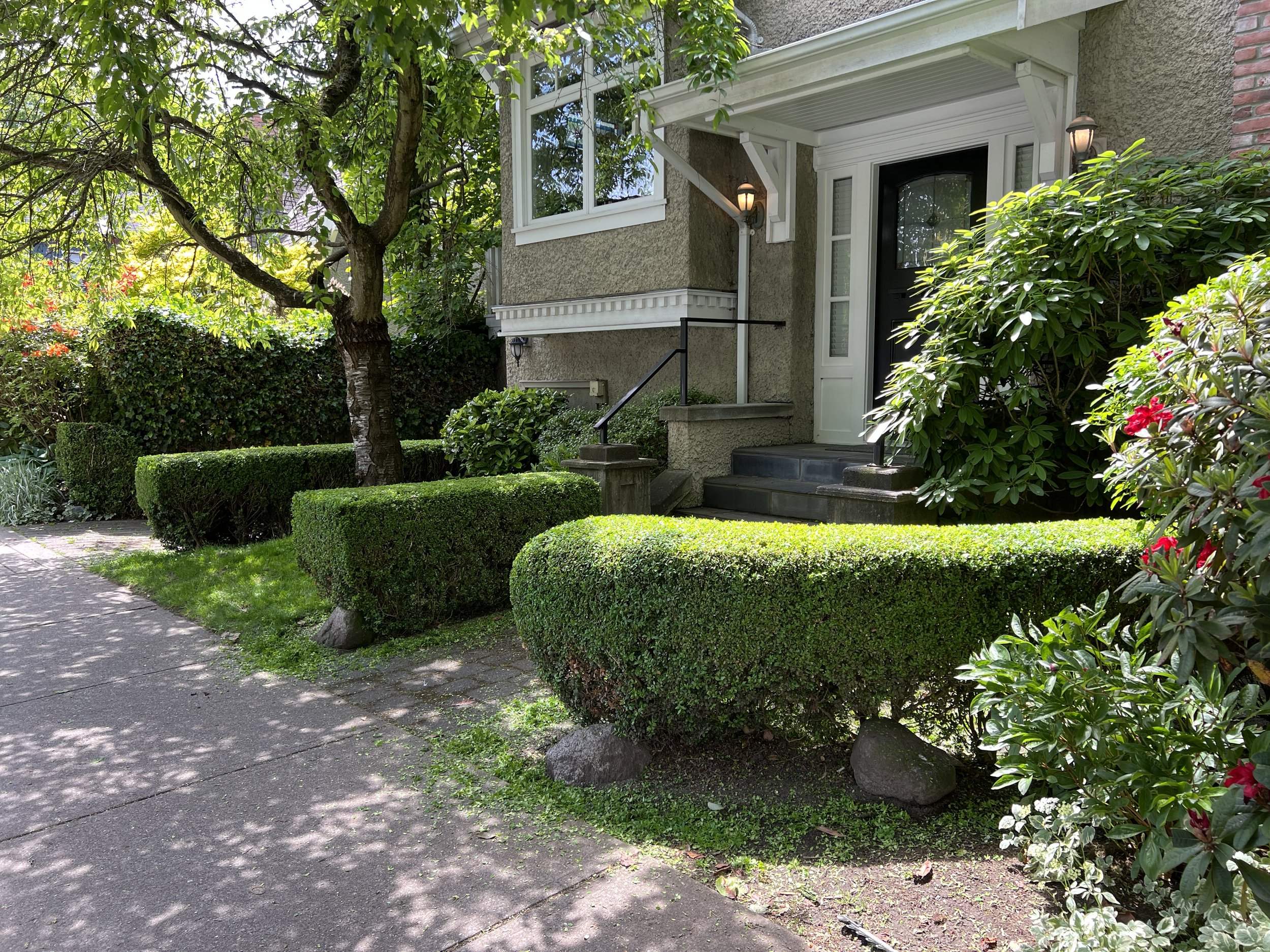 11_boxwood trimming.jpeg