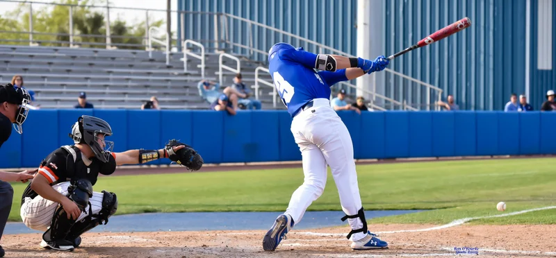 2019 Baseball