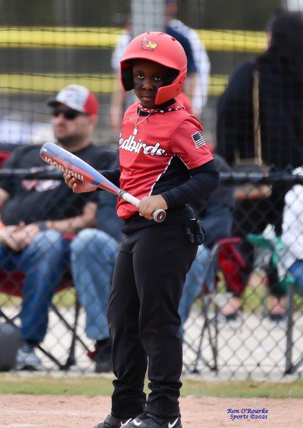 Redbirds v New Orleans Spice