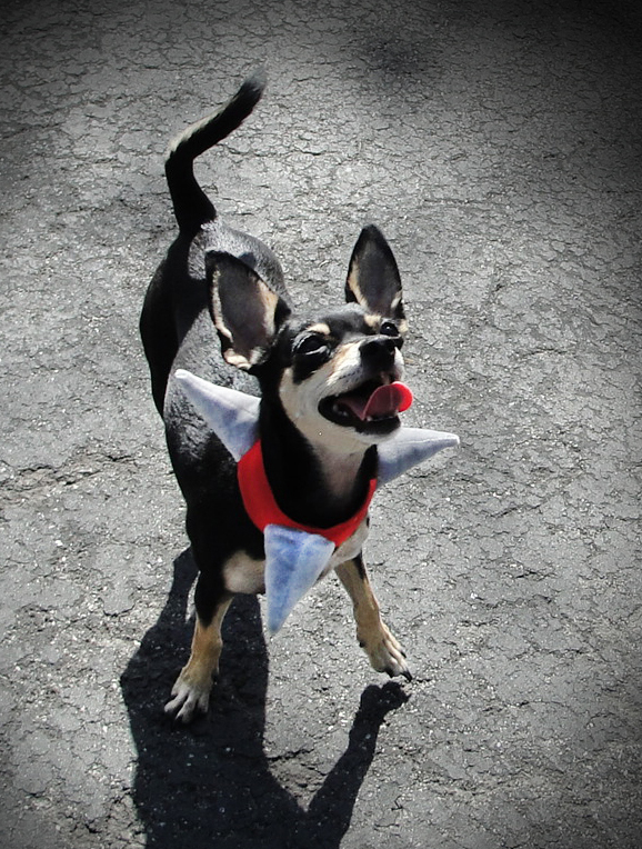 DSC07867_LBUG.jpg