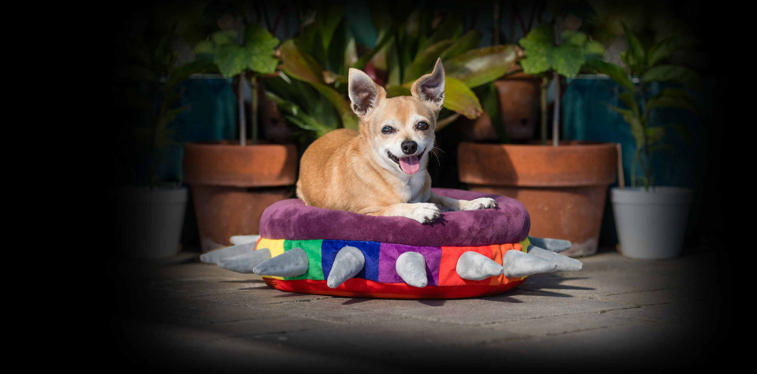 WestwayStudio_PLAY_20181016_032_rev2.jpg