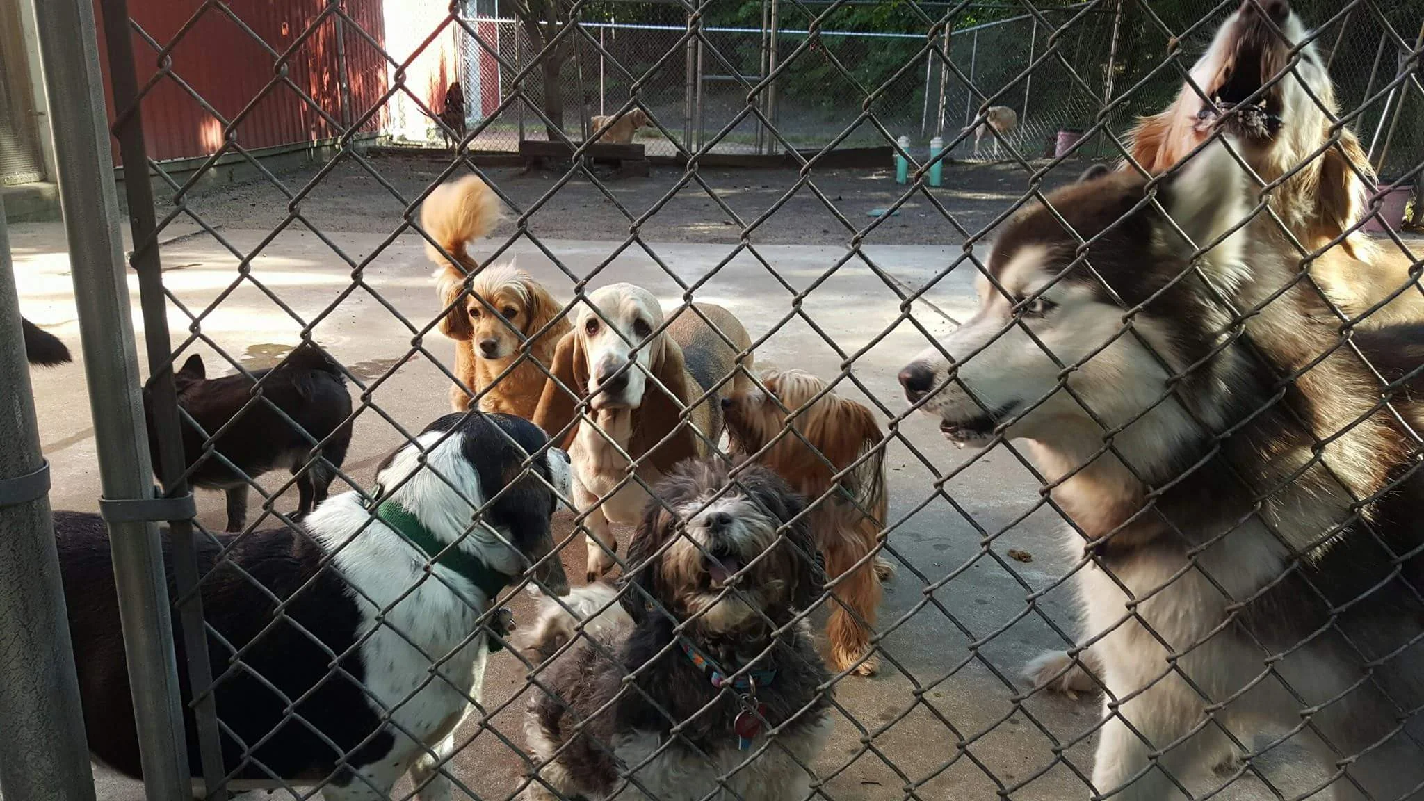 outside playtime.jpg