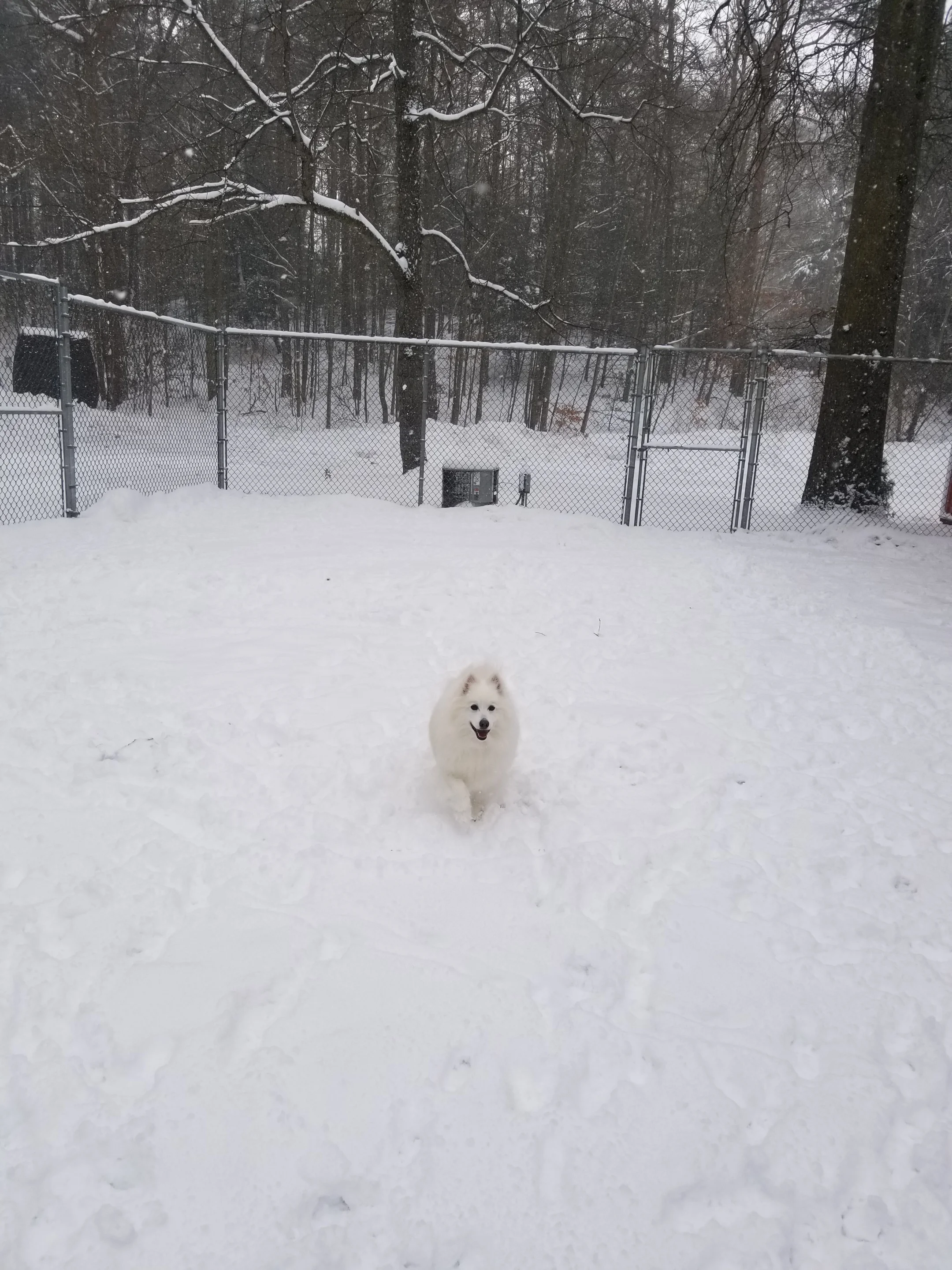 20190125_103434.jpg