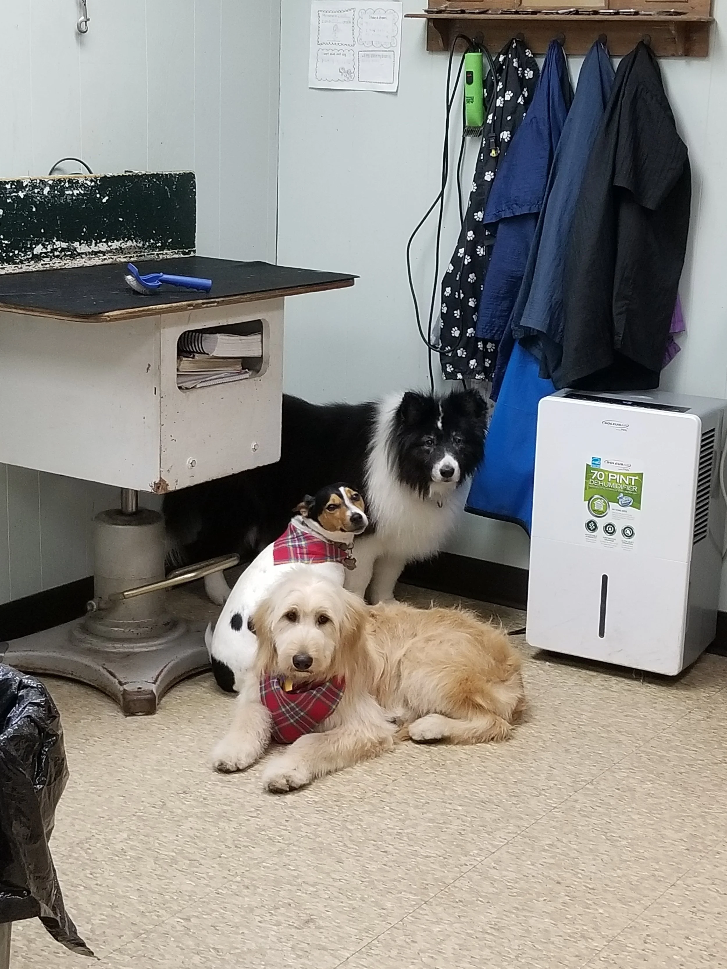 20181115_105333.jpg