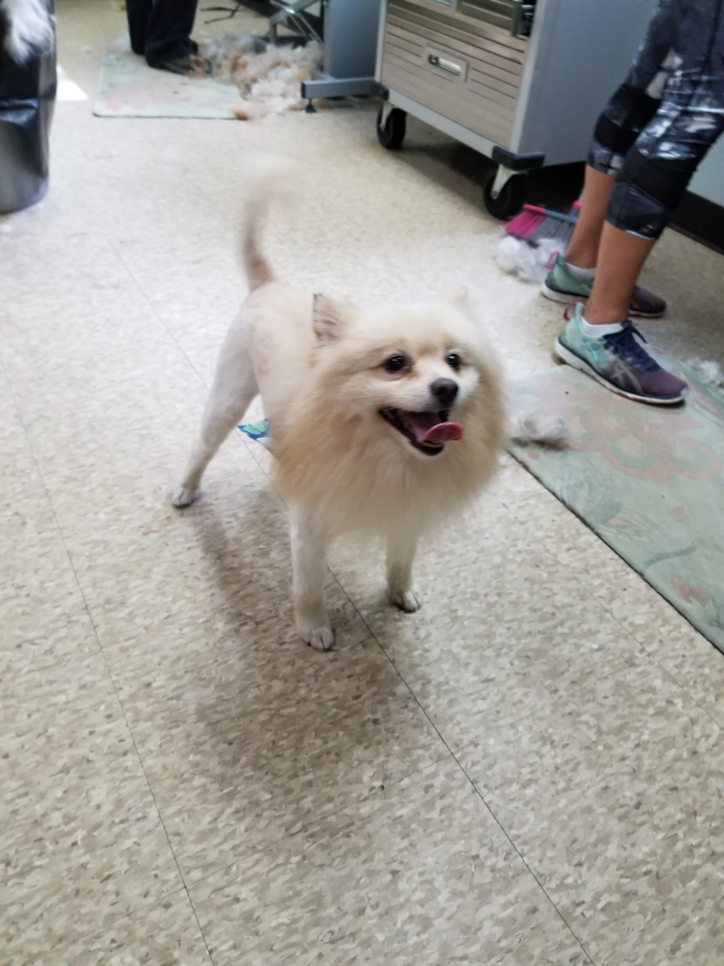 20180820_111012.jpg