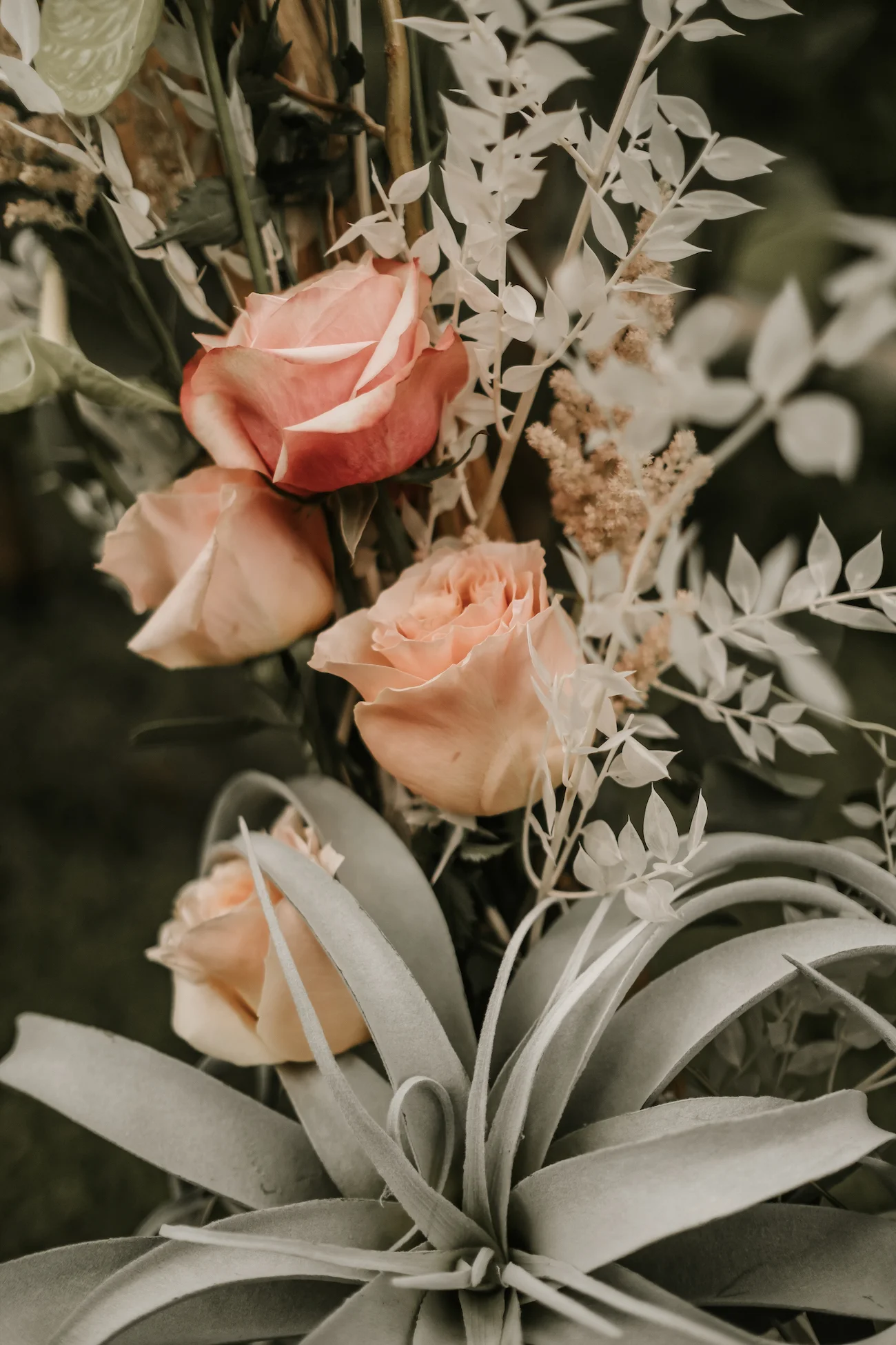 Saxon-Manor-Tampa-Weddings-12.jpeg