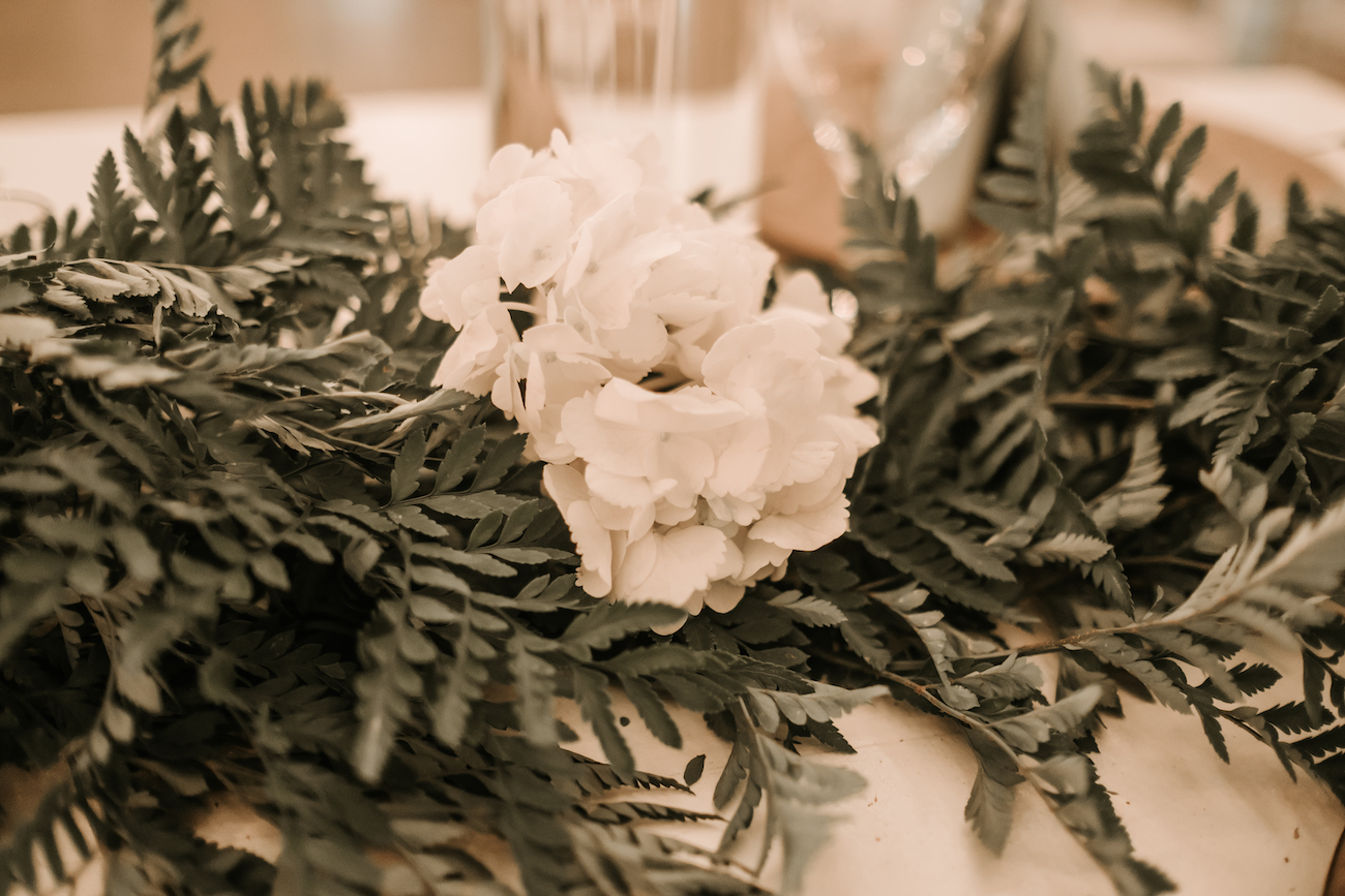 Saxon-Manor-Tampa-Weddings-211.jpeg