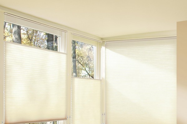 Honeycomb Blinds