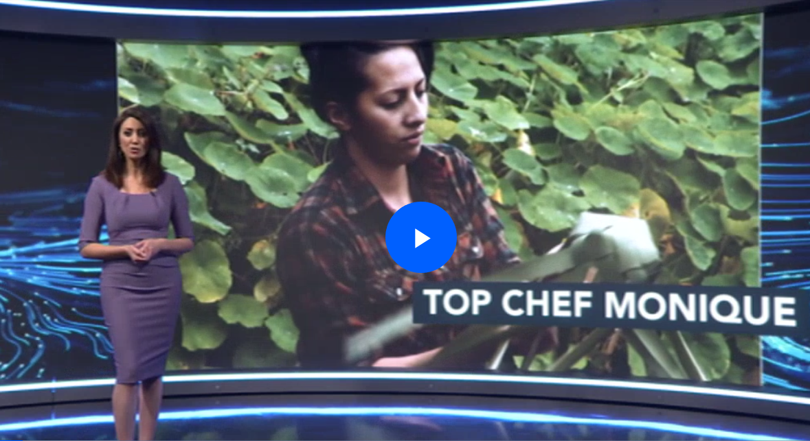 Screen Shot 2018-10-09 at 1.51.15 PM.png