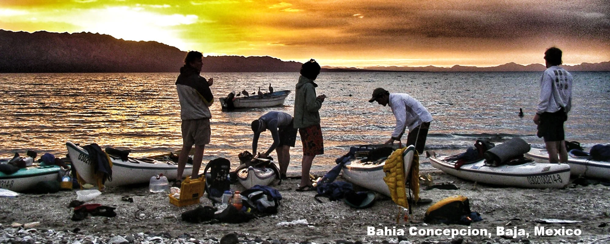 Baja Beach.jpg