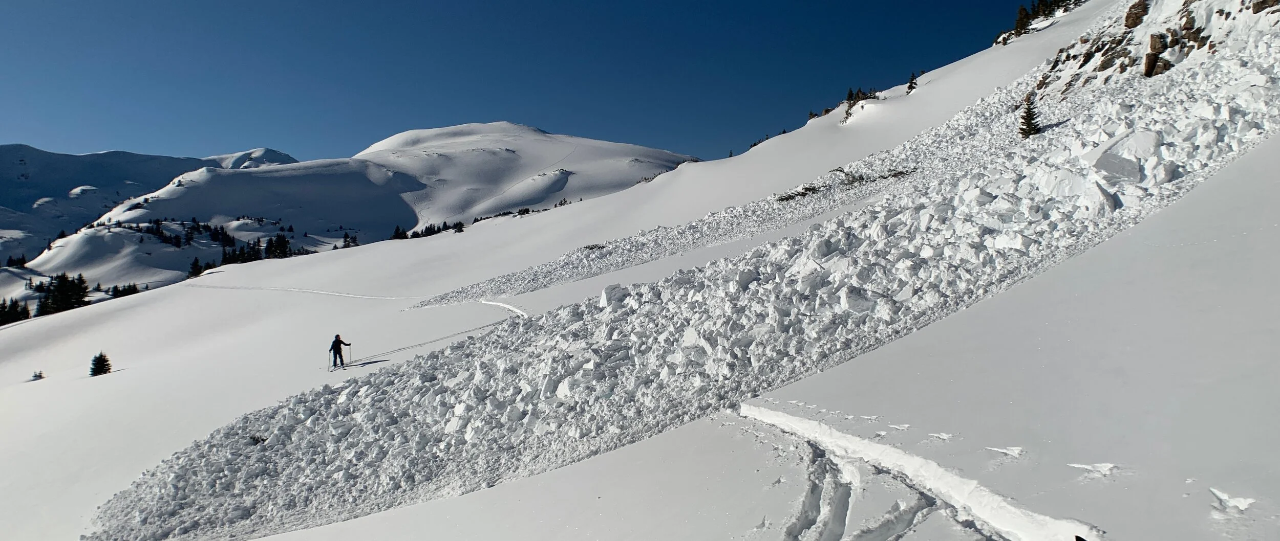 Lessons from an avalanche: