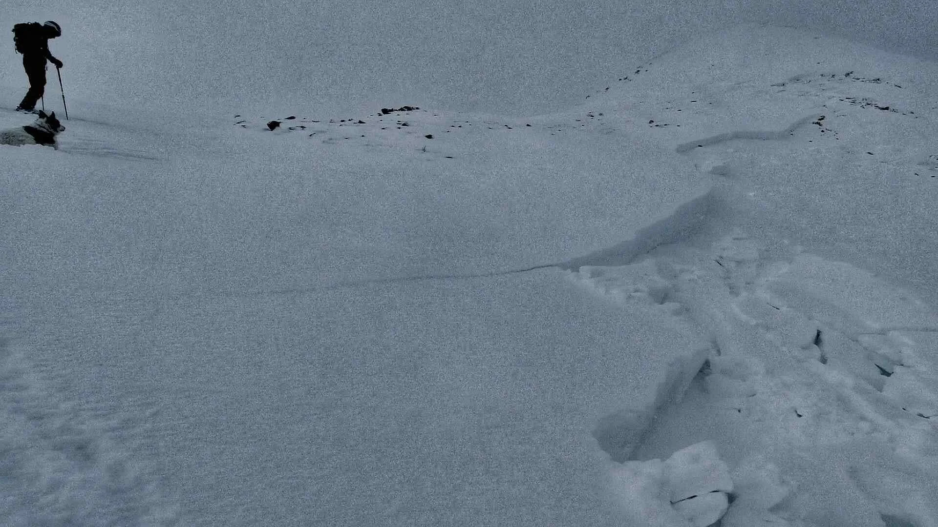 Lessons from an Avalanche:  Humility and Vulnerability - The Risk Manager’s Two Most Useful Tools