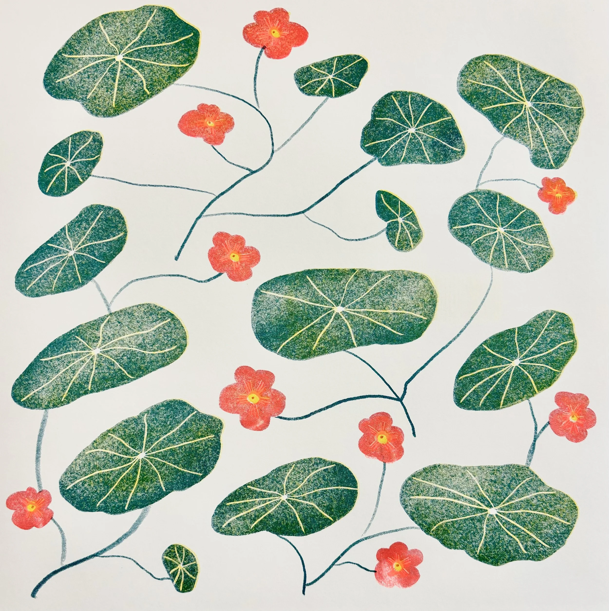 nasturtium.jpg