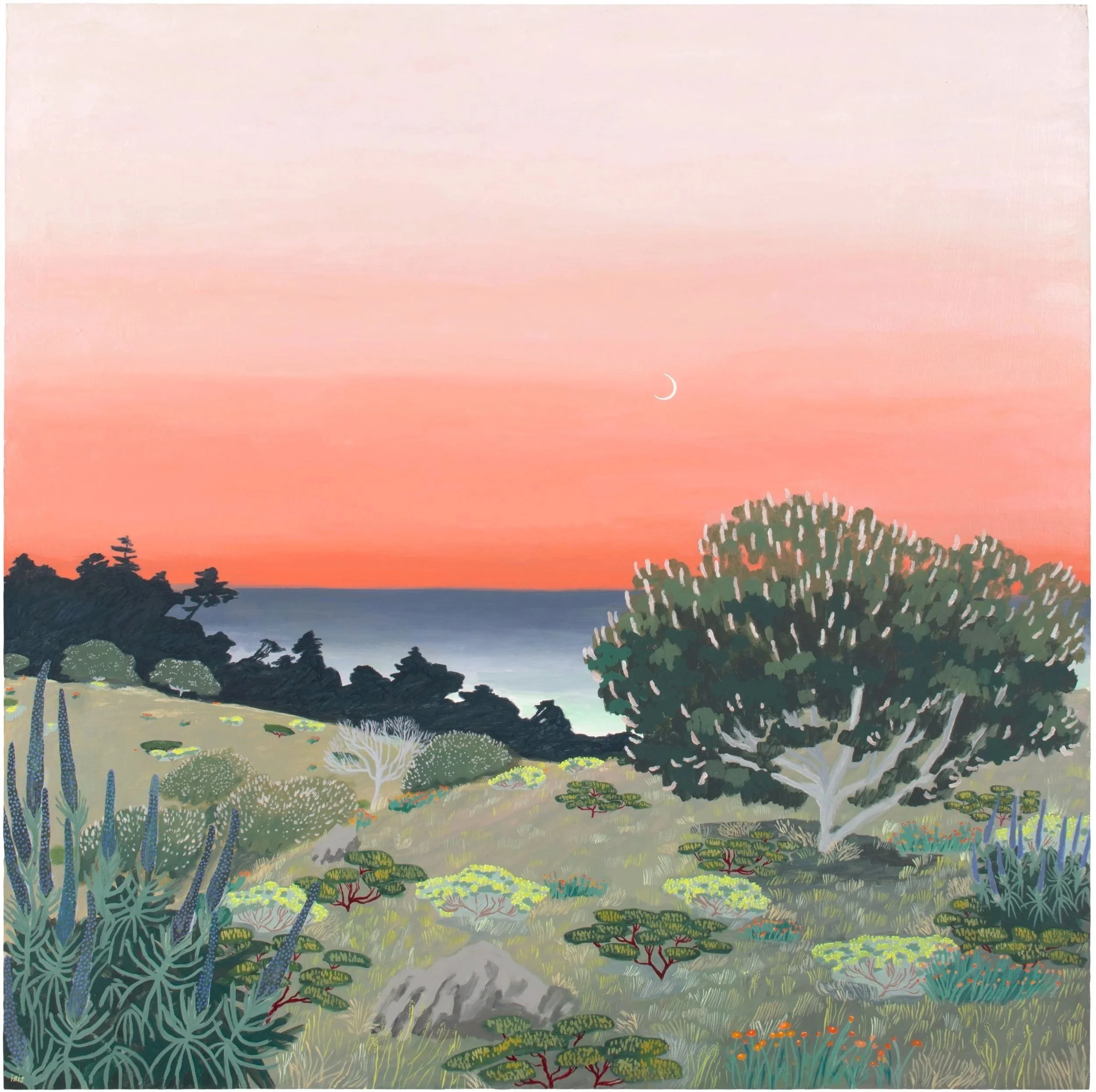 Moonrise with Buckeye