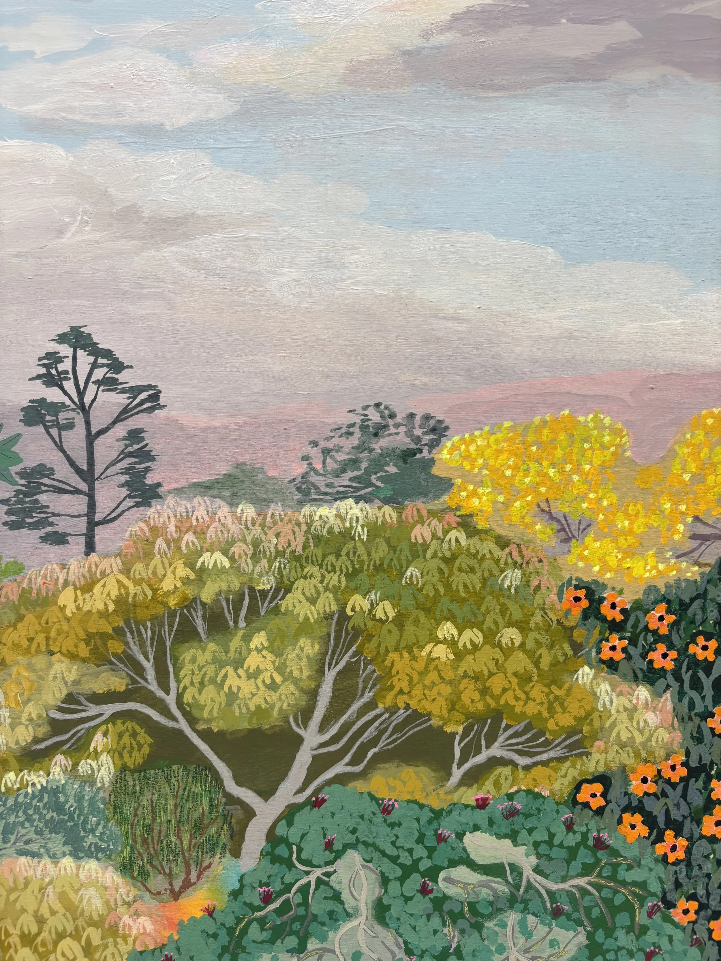 Transitional Sky Scene