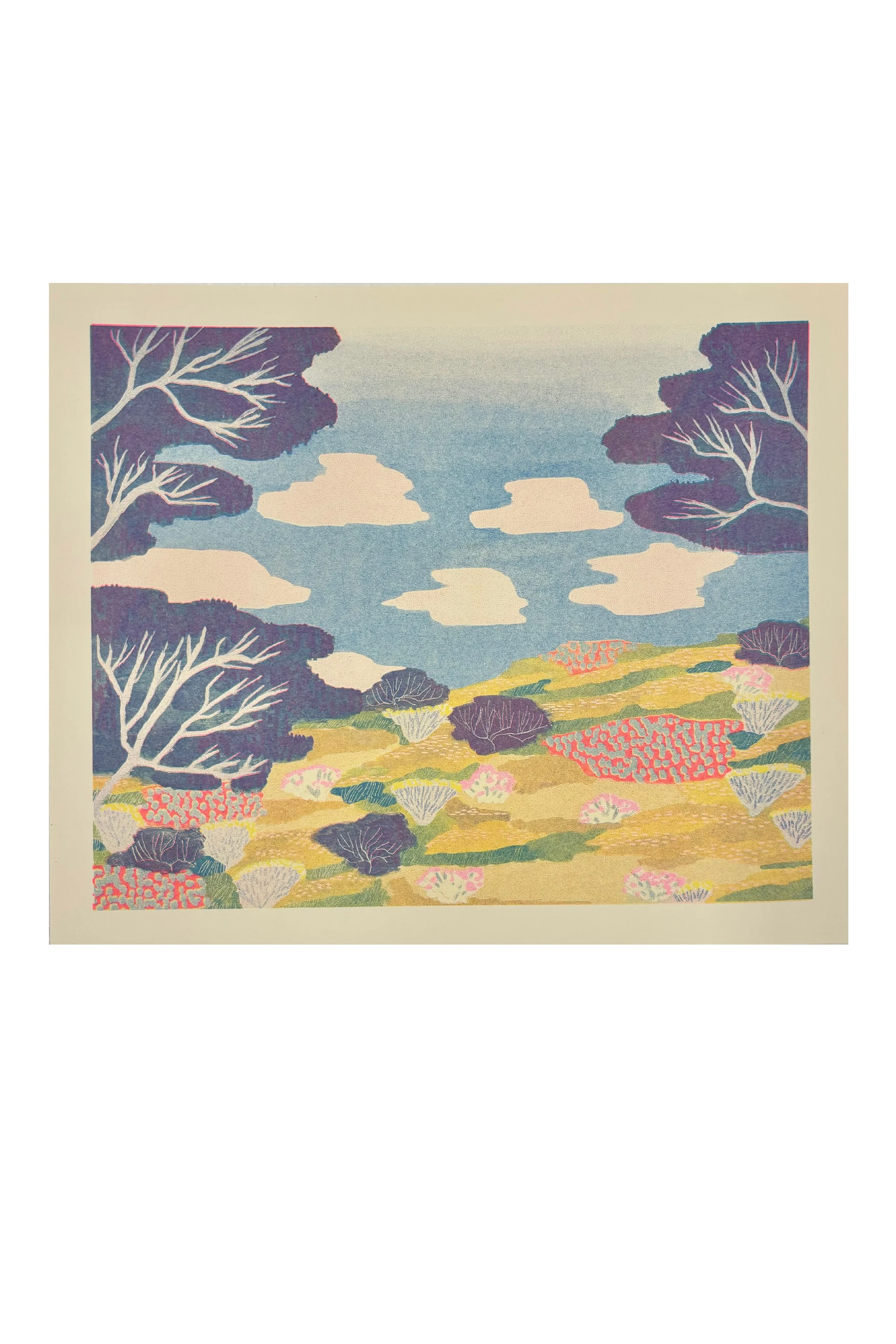 shifting webshop.jpg