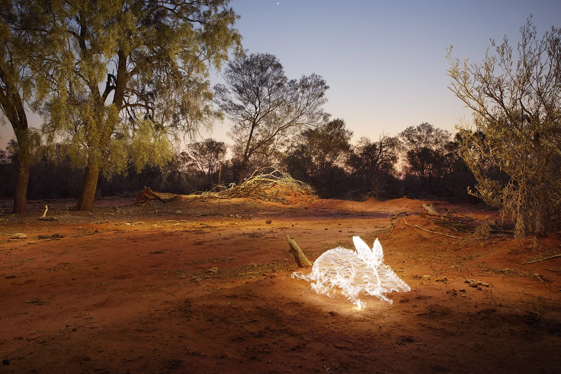 _DSC0967 compressed.jpg