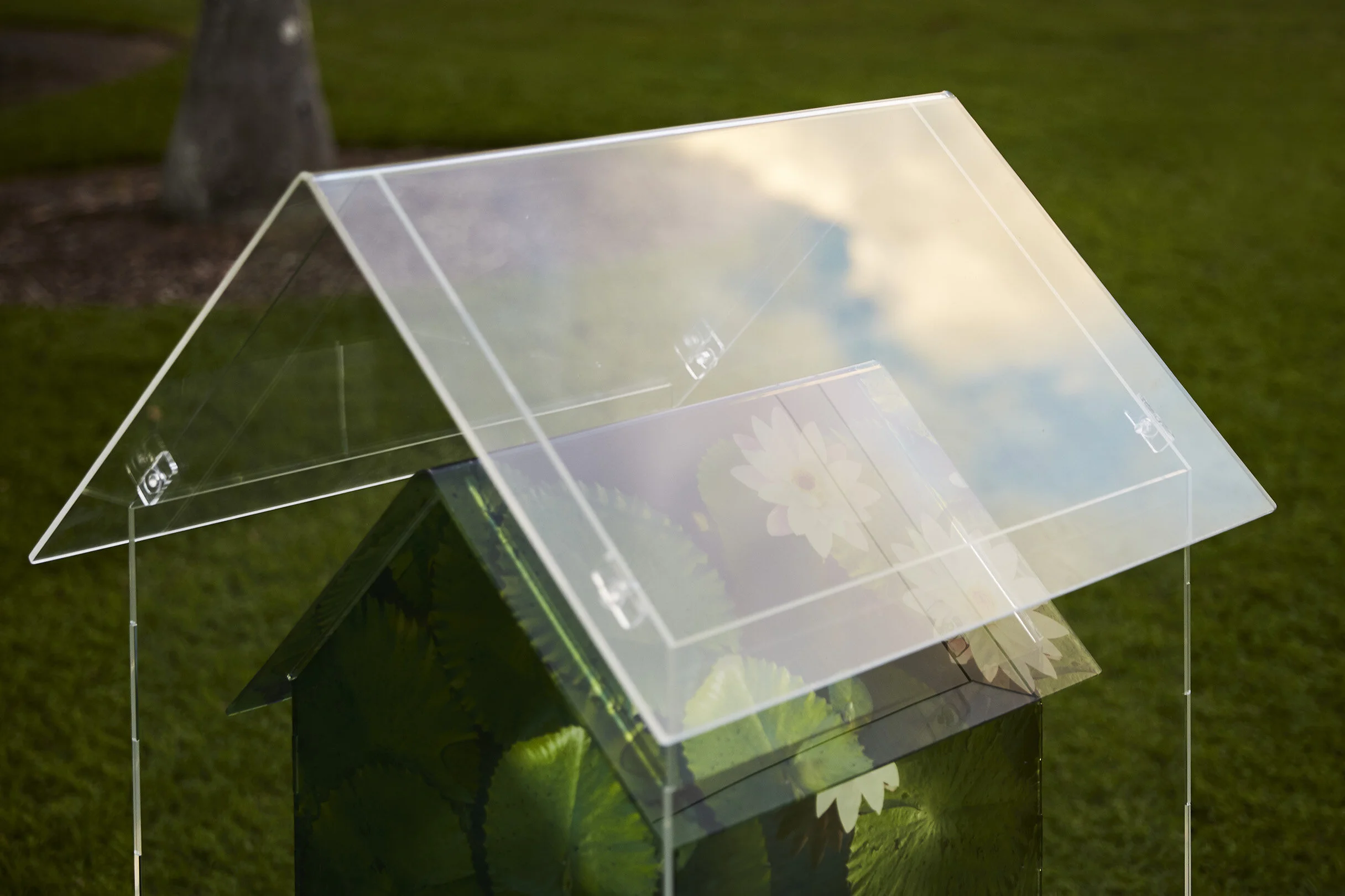 Botanica 2019 0307.jpg