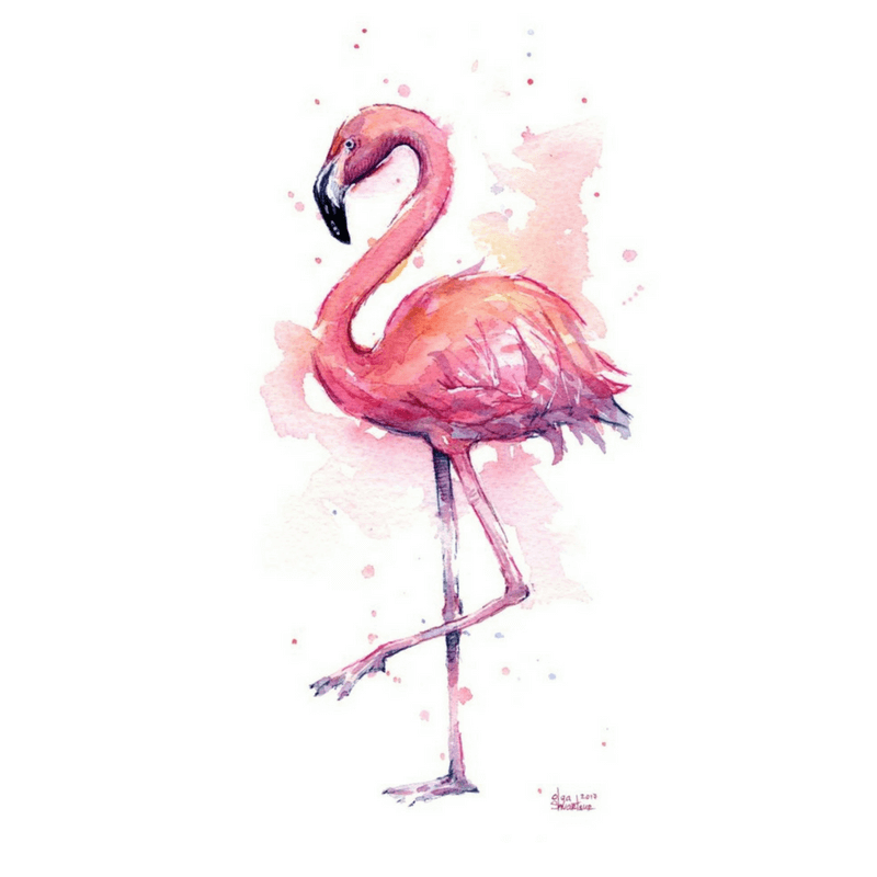 flamingo
