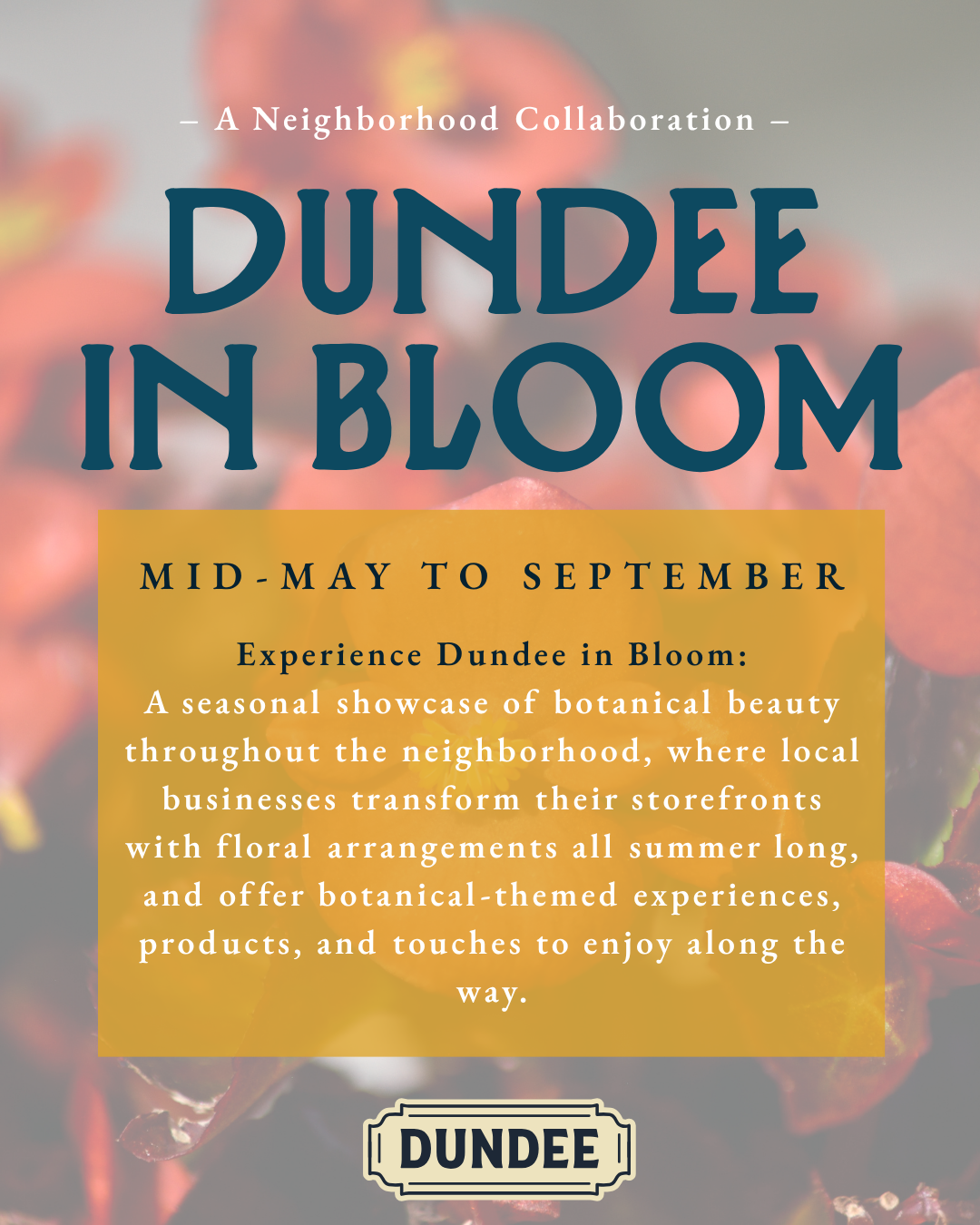 Dundee in Bloom