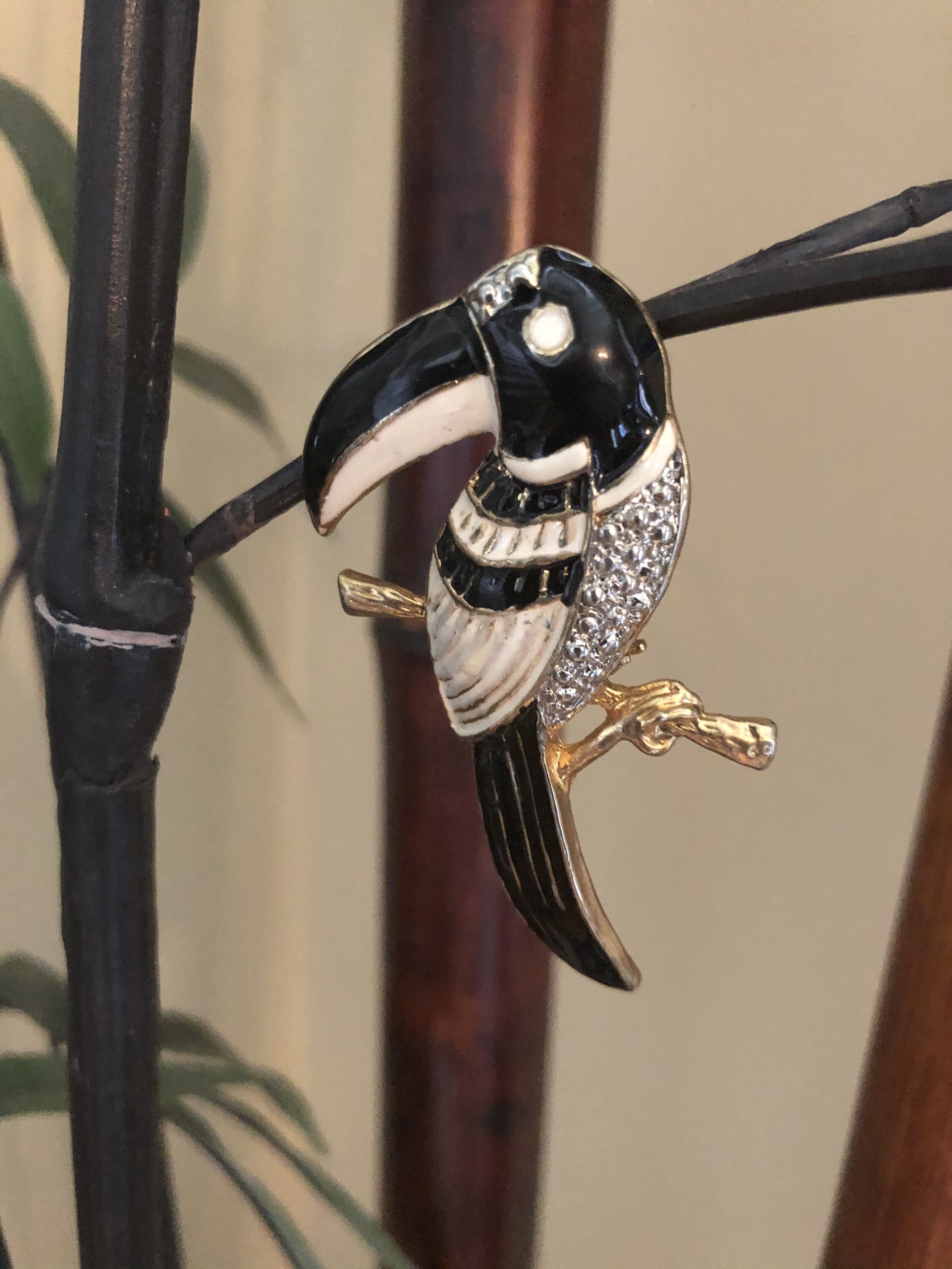 Toucan Brooch