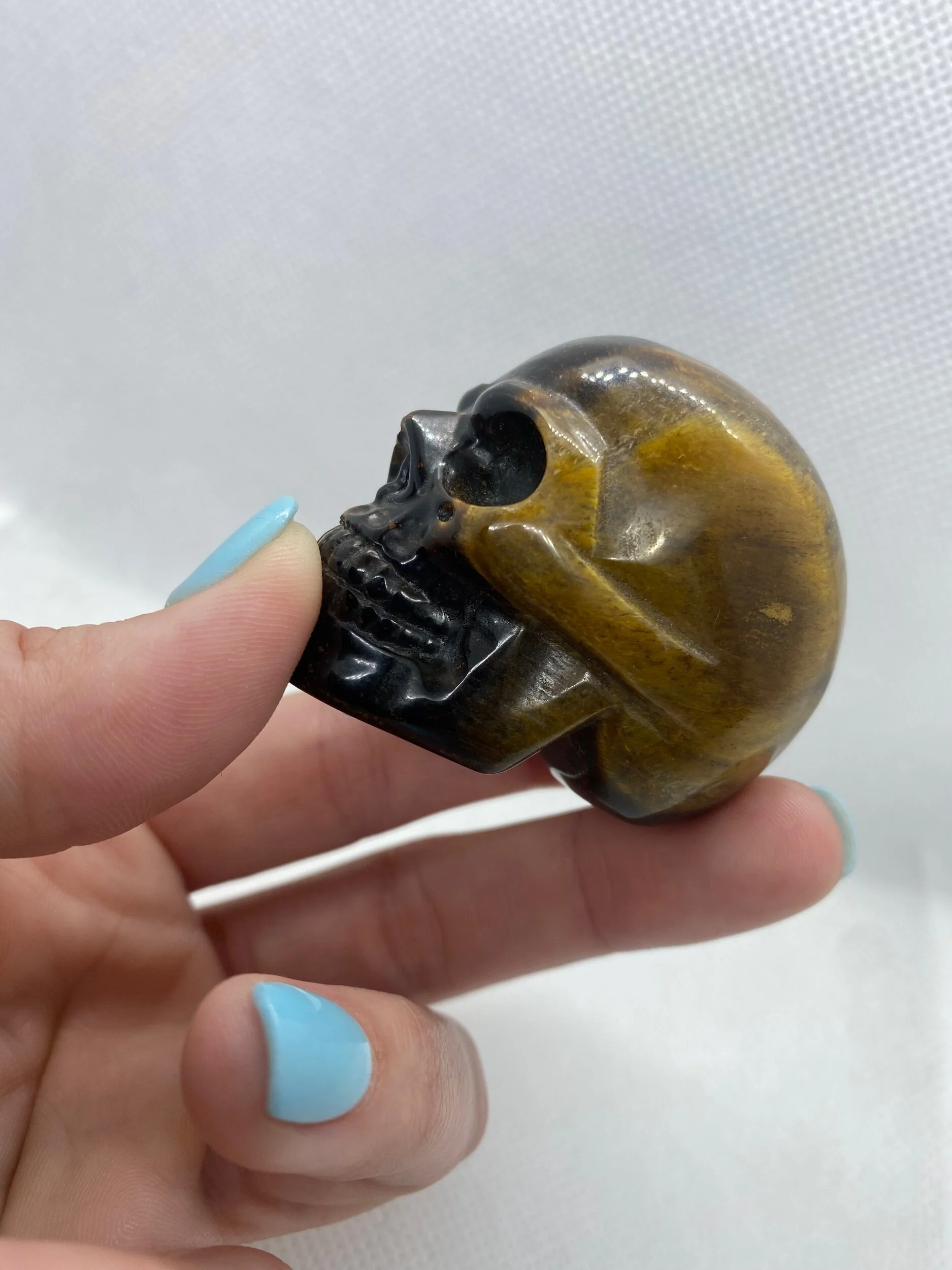 B8E9F48D-CBB3-4C17-B4FE-AEA3CE33BC4F