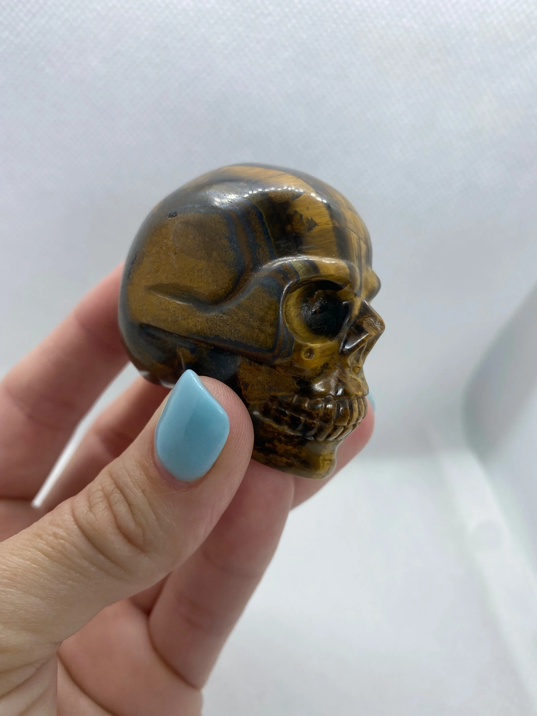 8764A805-48FE-44AF-B305-9C93FC4A787A