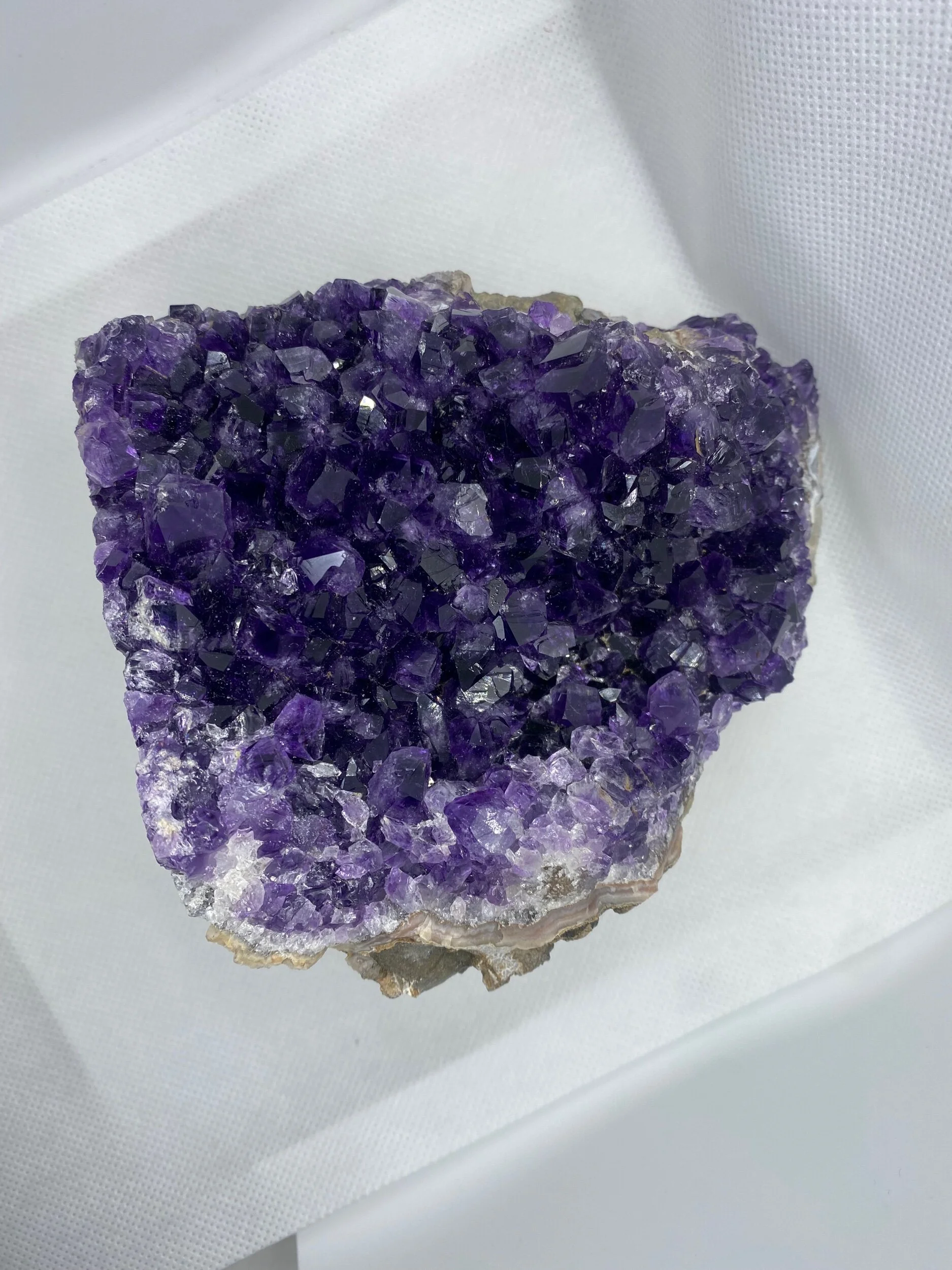 99F94CFC-BC54-4944-B642-EE6E709DF5A9