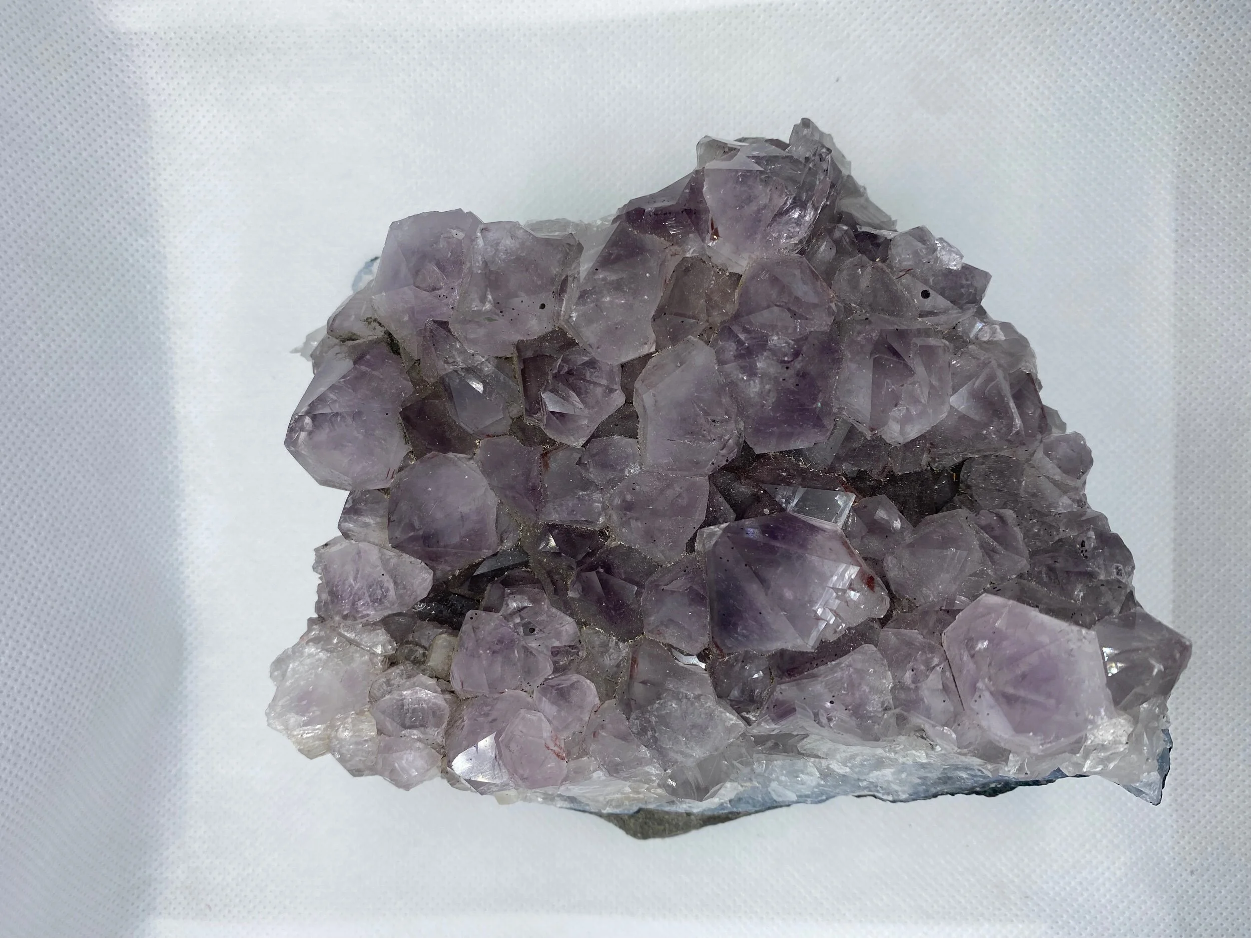 4B7A0362-921D-44FE-B870-F9E01420931E