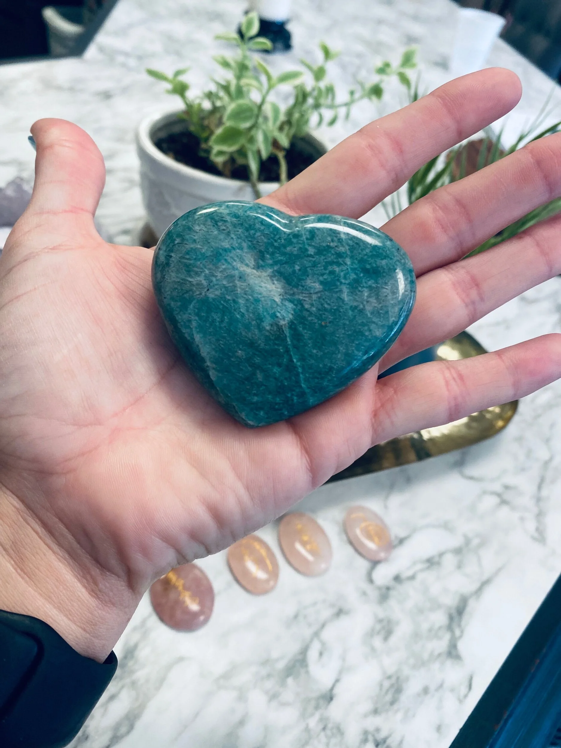 B4AC5C4B-E12E-480C-9E7D-65F920798105