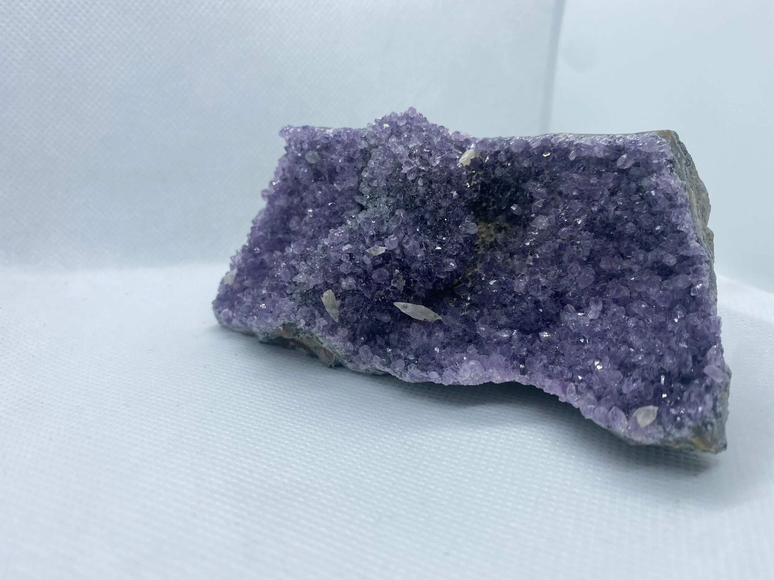 07C8B5E8-2080-4474-9AA4-51BC6328BB4A