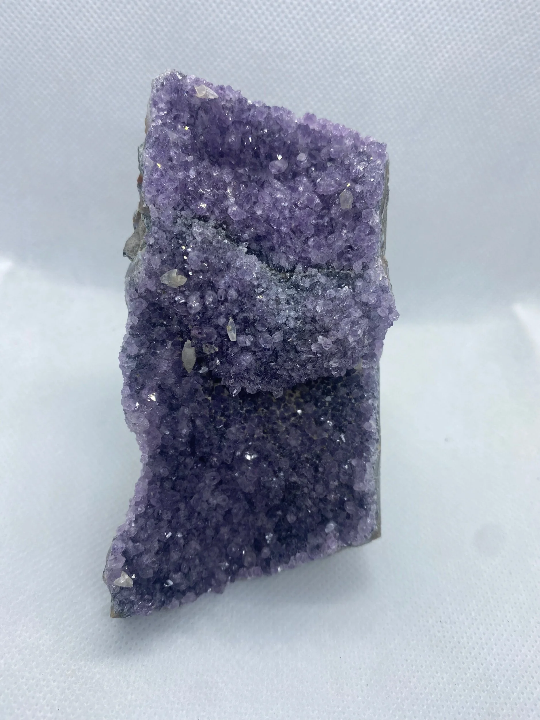 D8F19DC6-8BB8-4BBB-9485-EEFA66273B91