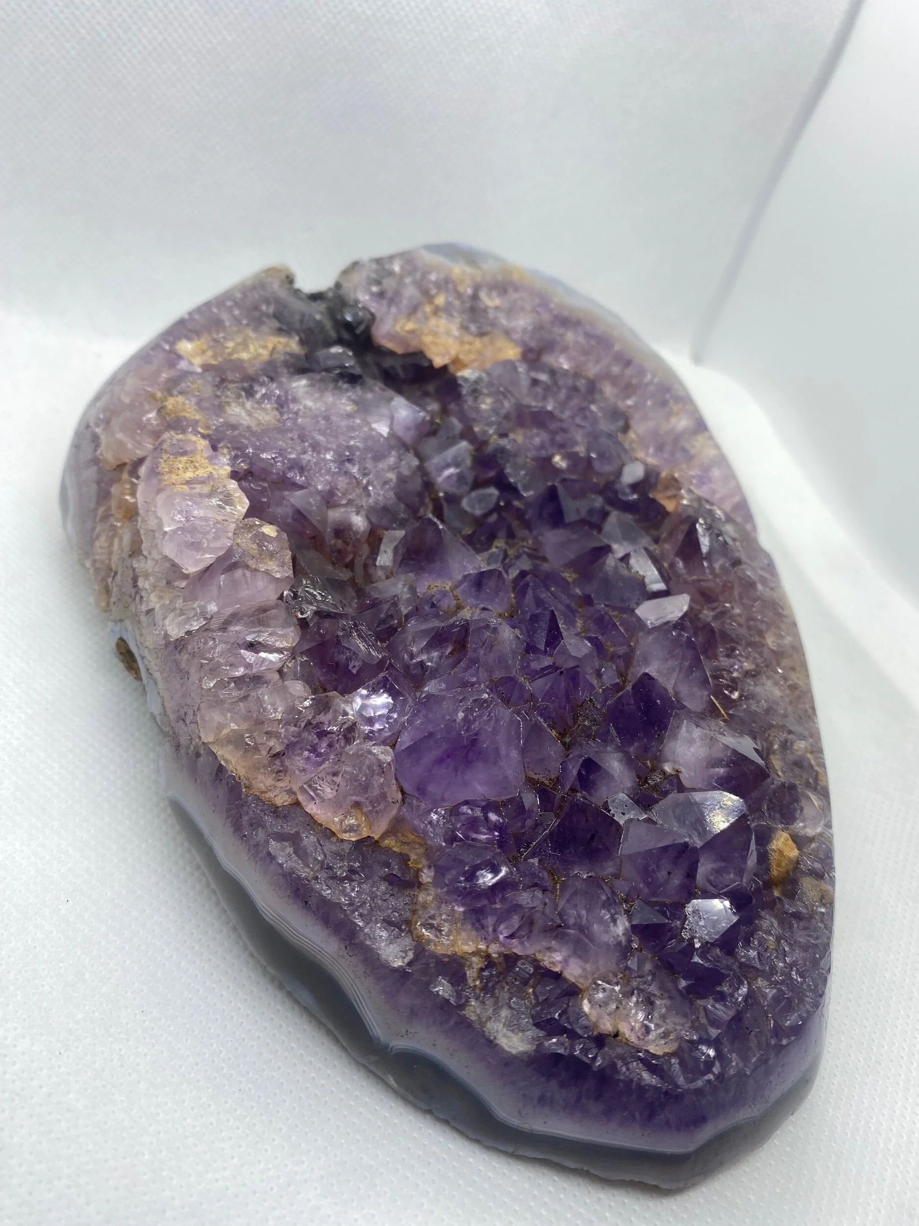 FC8FED59-2148-469B-AB98-63058243BEAB