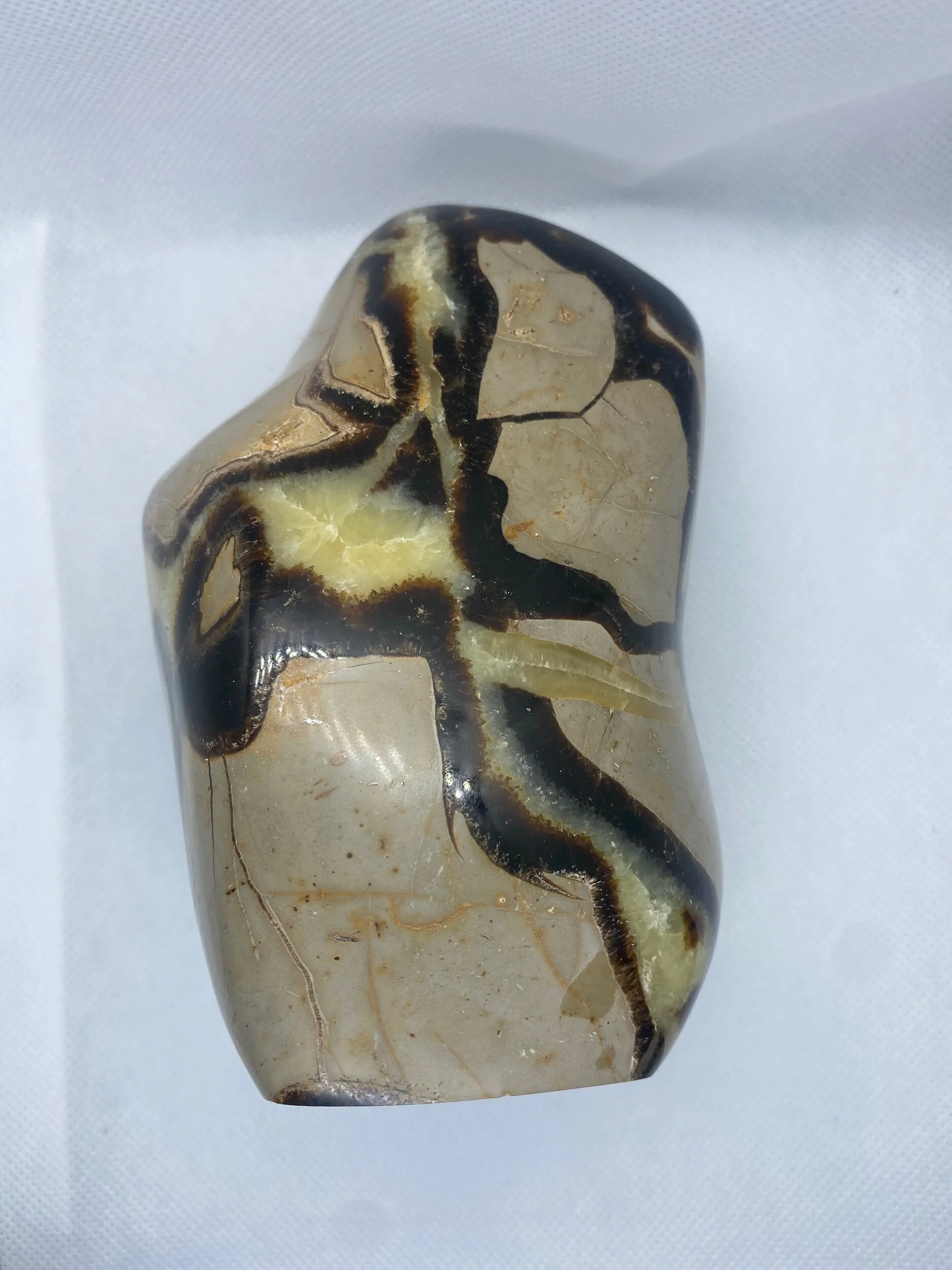 F36E177B-7354-4CCD-BE56-BCFA84B4FAB3