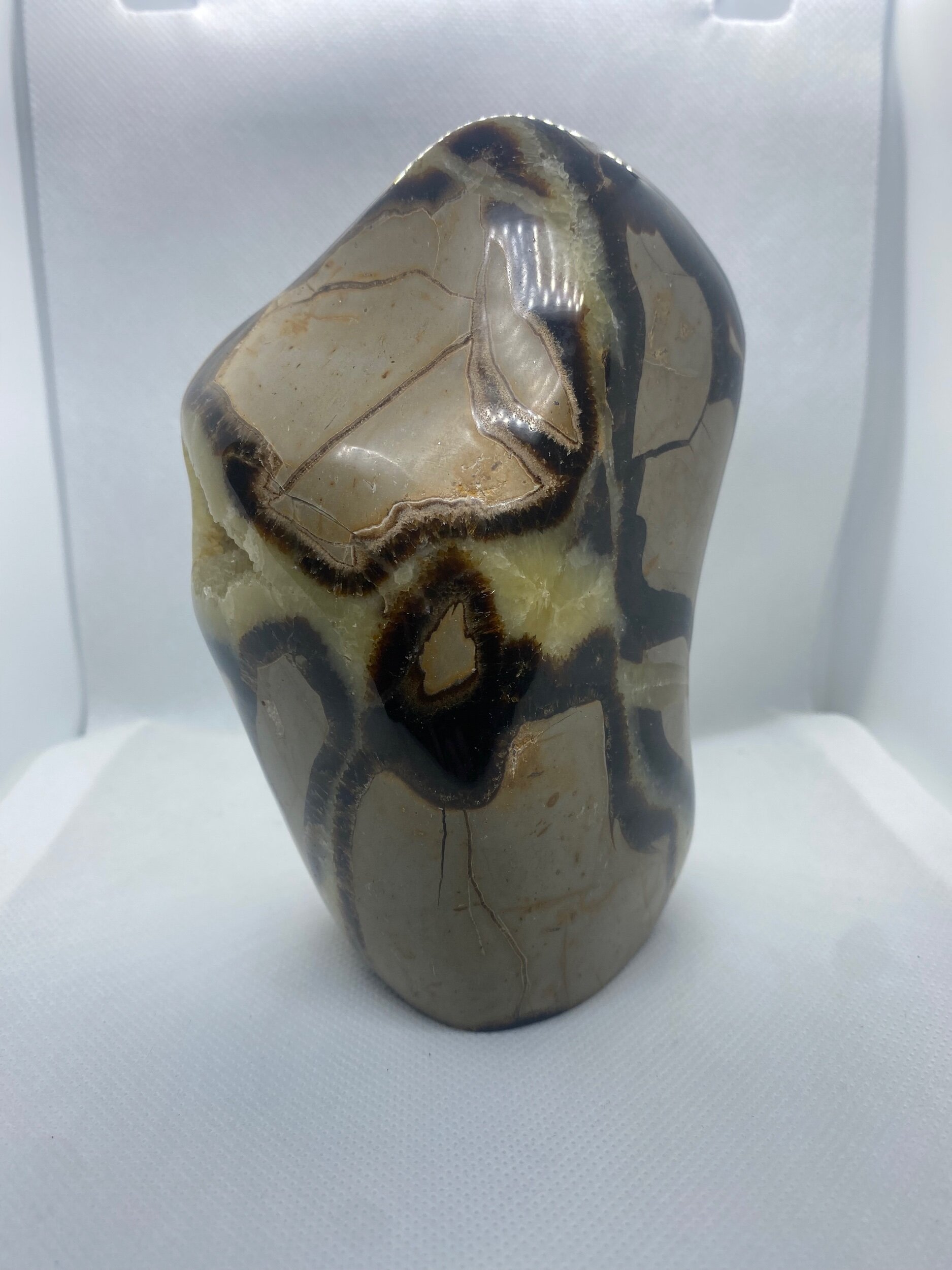 178D86FB-11B0-4E44-A449-317BBE6EF357