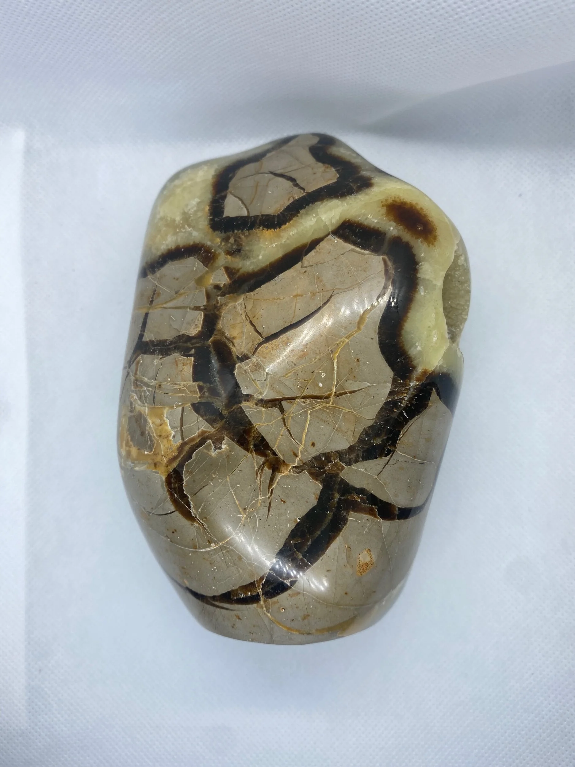 A6C714C9-B536-4BBF-B9E3-2ECD7C652C9B