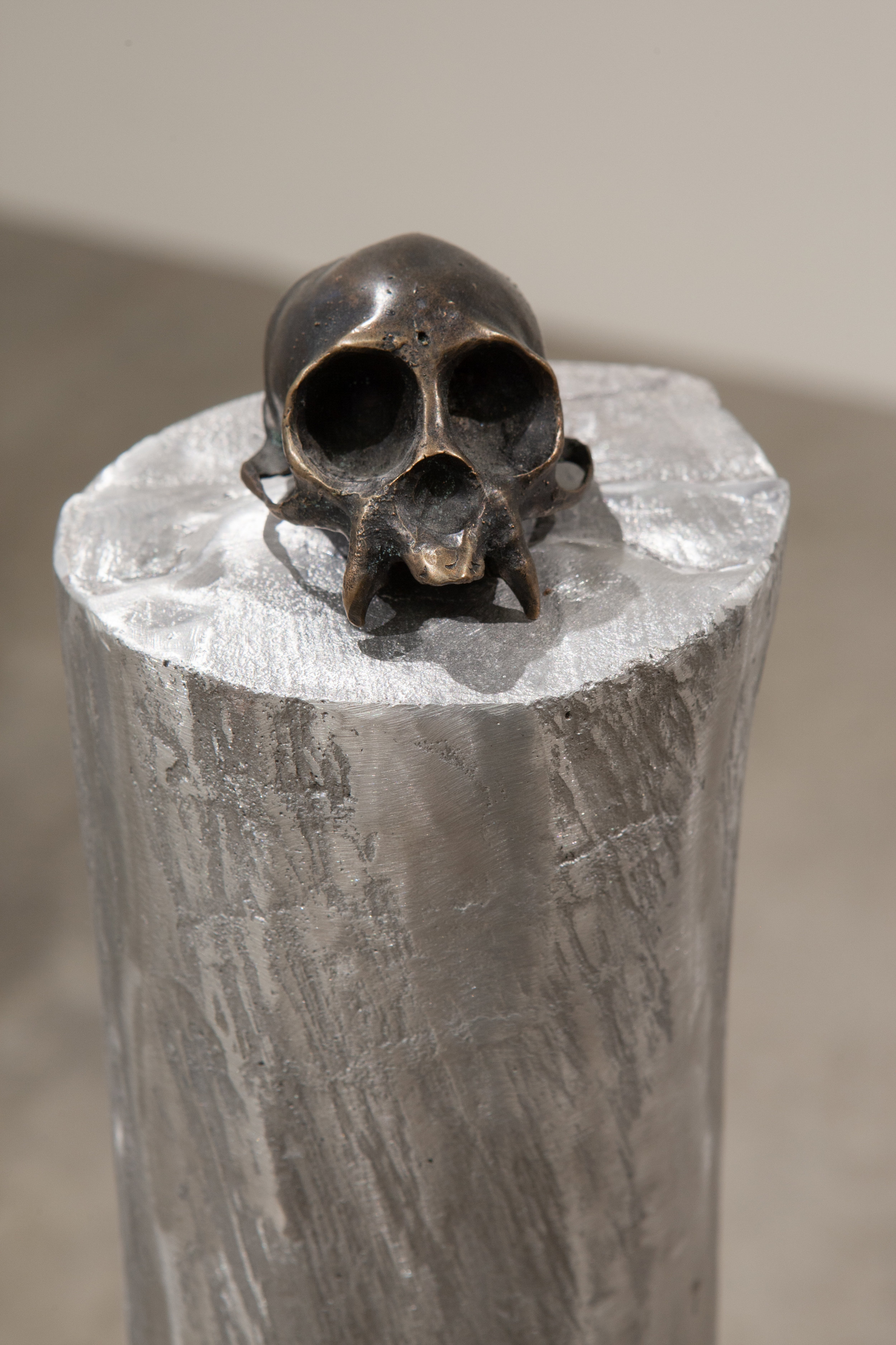 06112019Decimation040.jpg