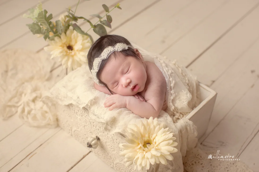 11852_Fifii_family_36.jpg