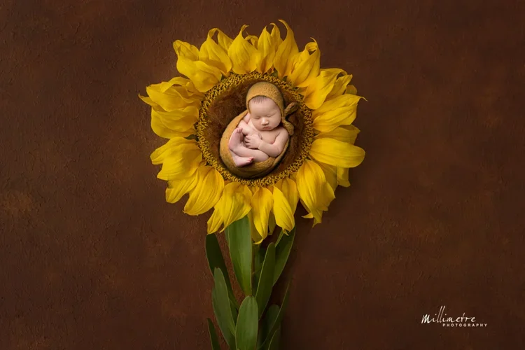 Best Time to Do Newborn Photos: A Parent’s Guide