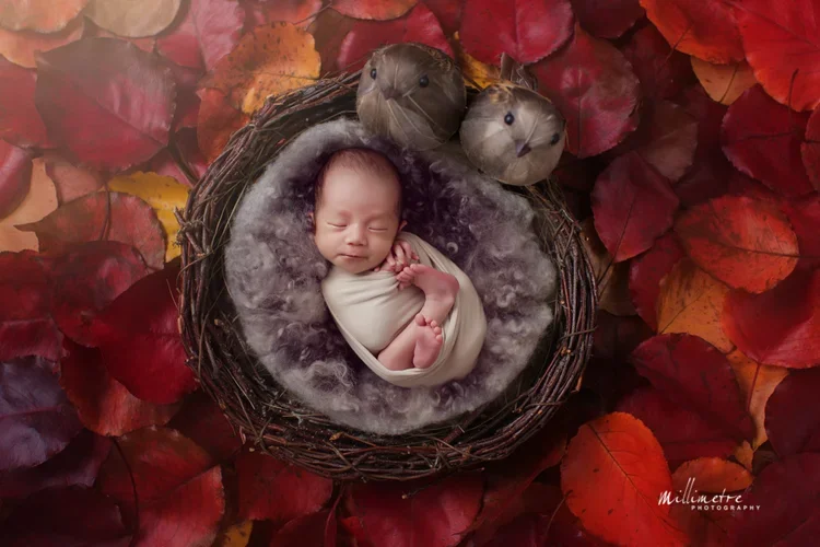 Newborn Photography Props: What Works Best for Natural Sydney Sessions